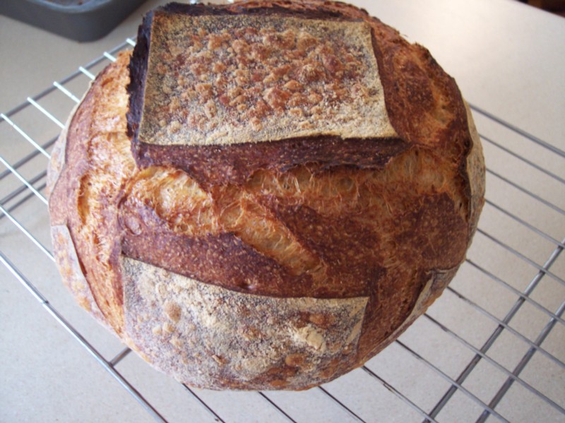 Tartine Country Bread same dough two different baking methods The